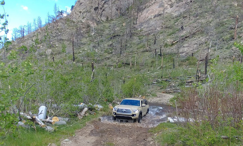 20170604_104407a.jpg