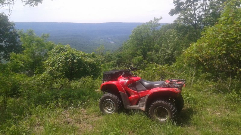 20170604_142219.jpg