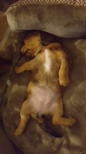20170604_192750.jpg