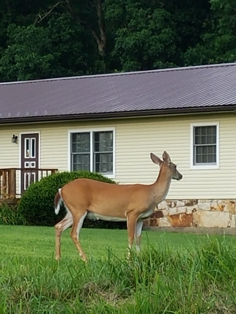 20170605_184856.jpg
