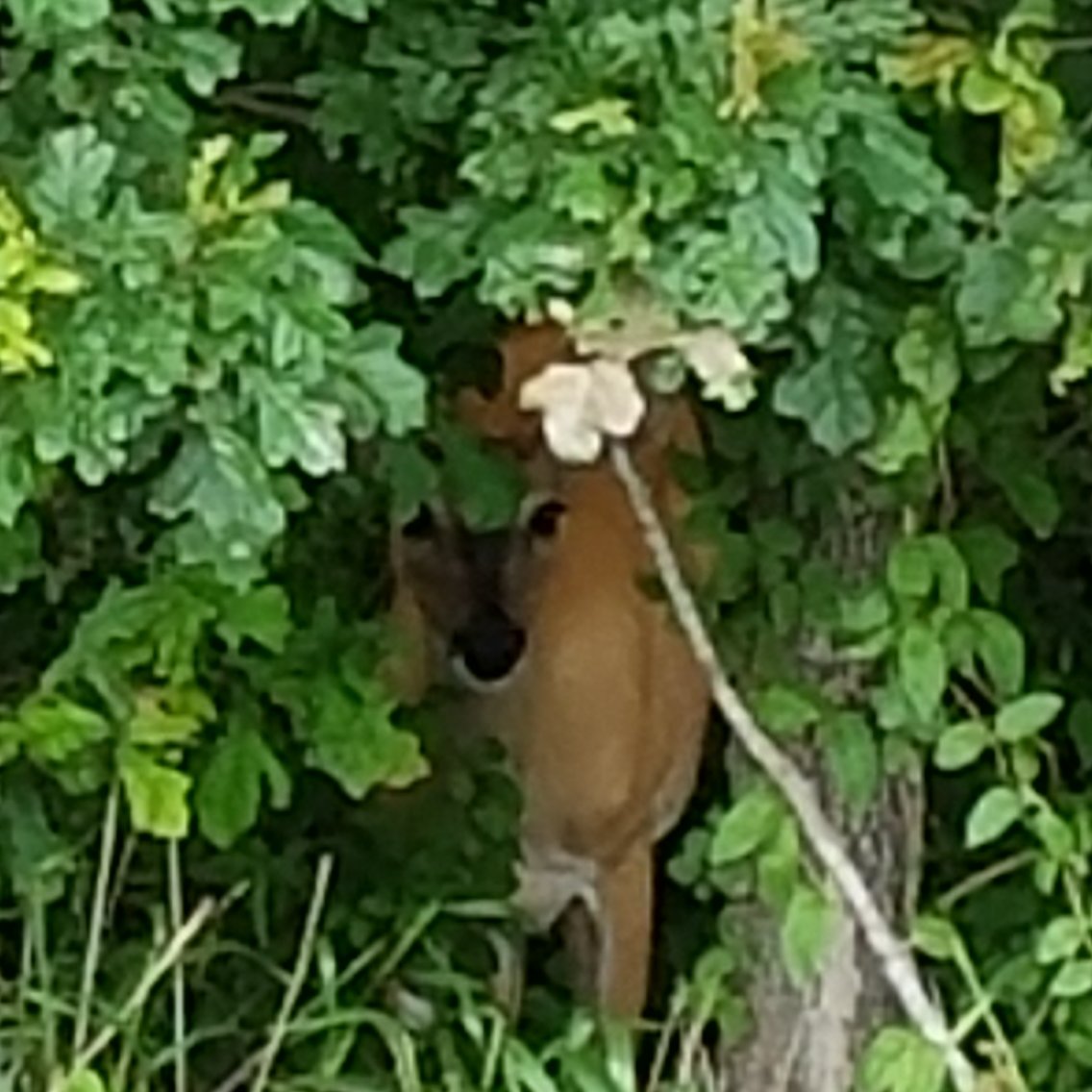 20170605_215539.jpg