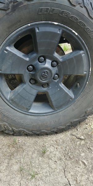 20170606_130550_HDR.jpg