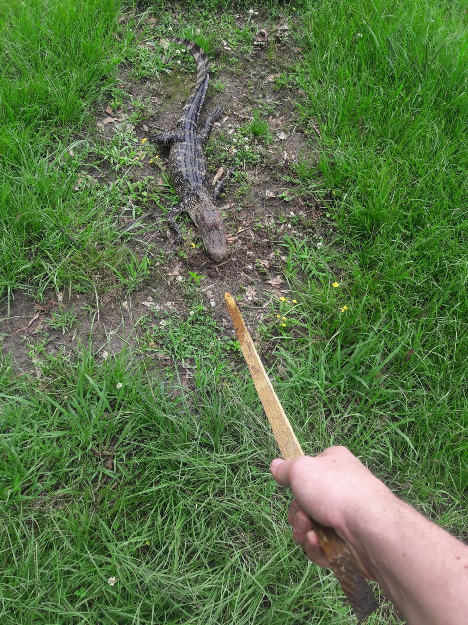 20170606_154601.jpg