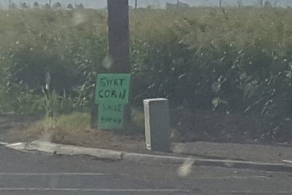 20170607_183145.jpg
