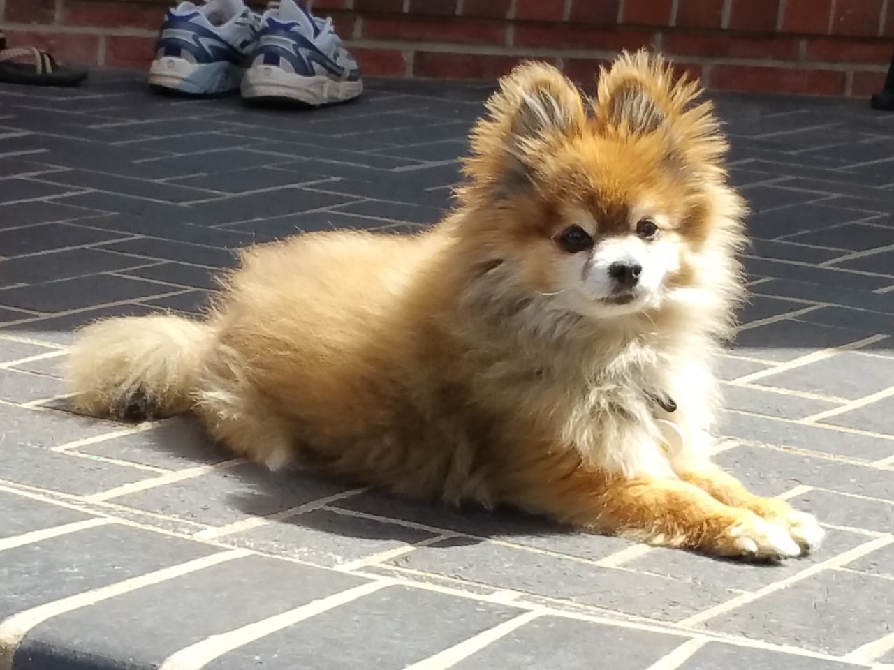 20170608_154752.jpg