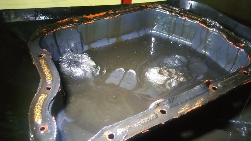20170608_164524.jpg