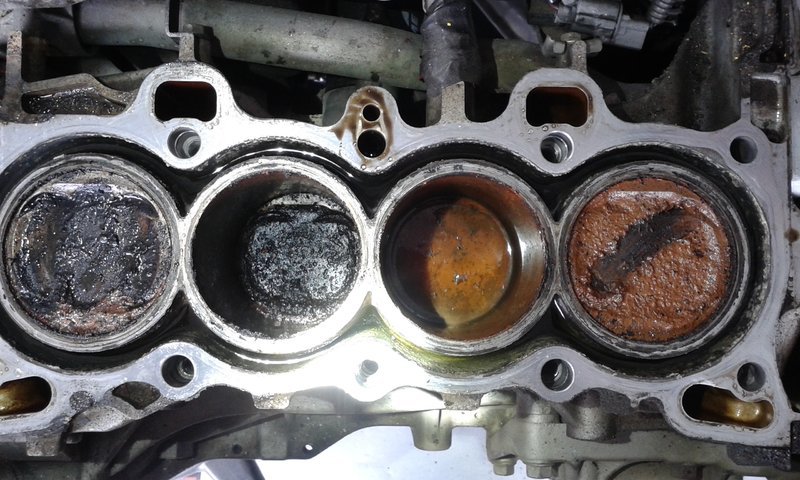 20170609_121619.jpg