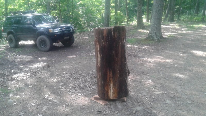 20170610_092434.jpg