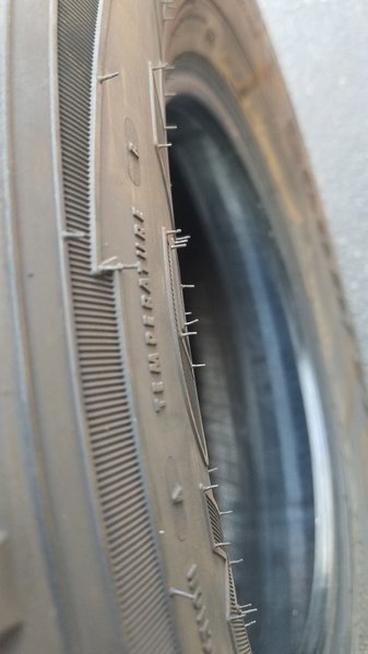 20170610_094311.jpg