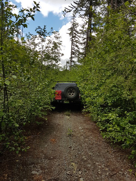 20170610_142652.jpg