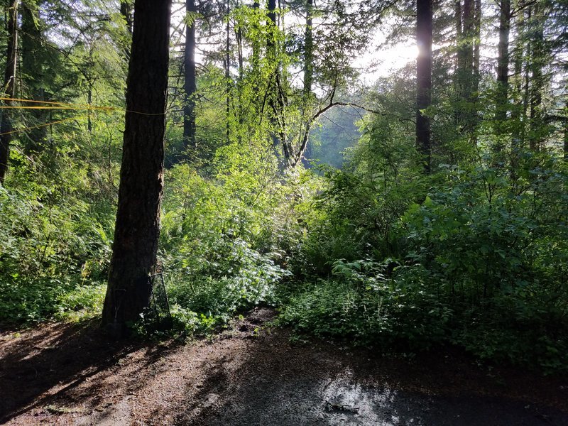 20170610_190917.jpg
