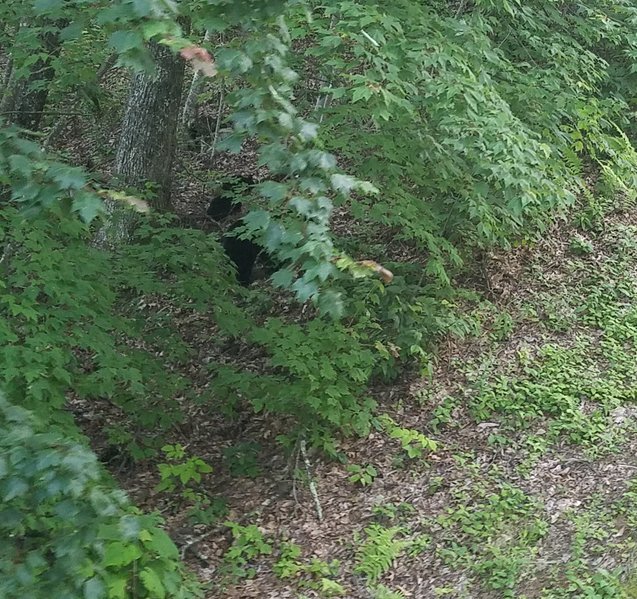 20170611_094224.jpg
