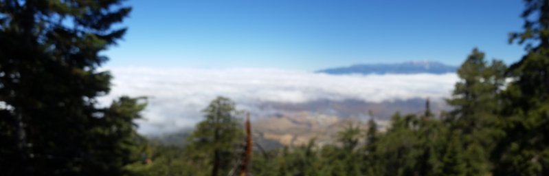 20170611_114941.jpg