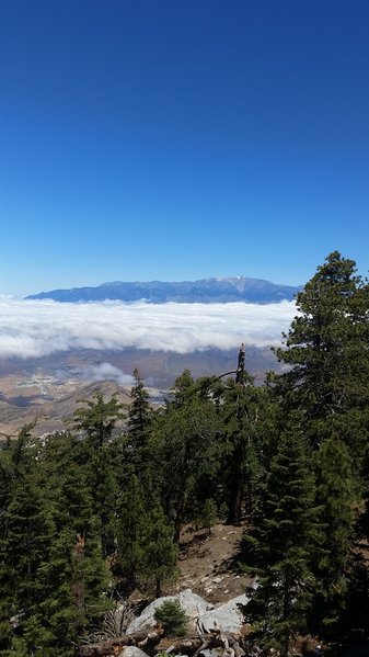 20170611_115013.jpg