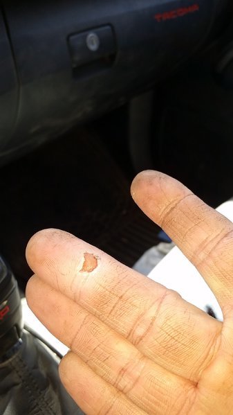 20170612_112657.jpg