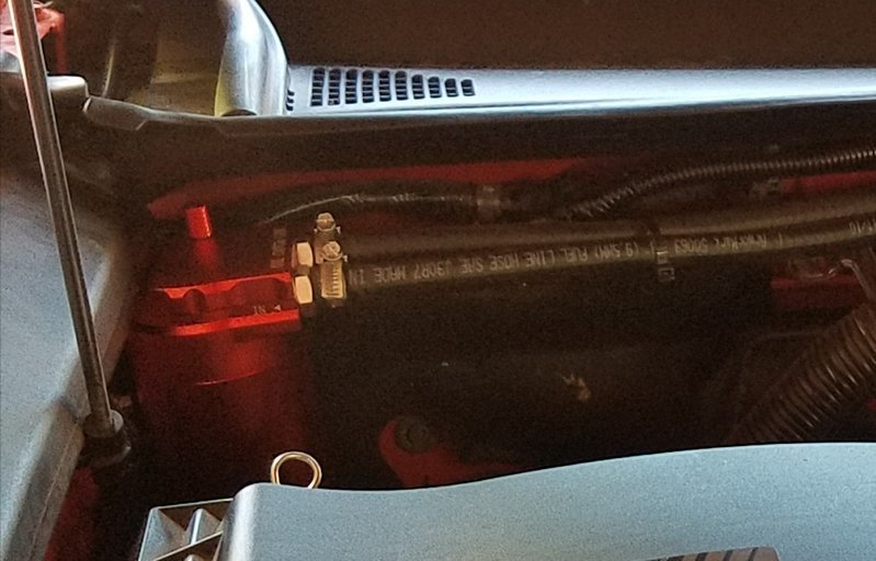 20170612_130521.jpg