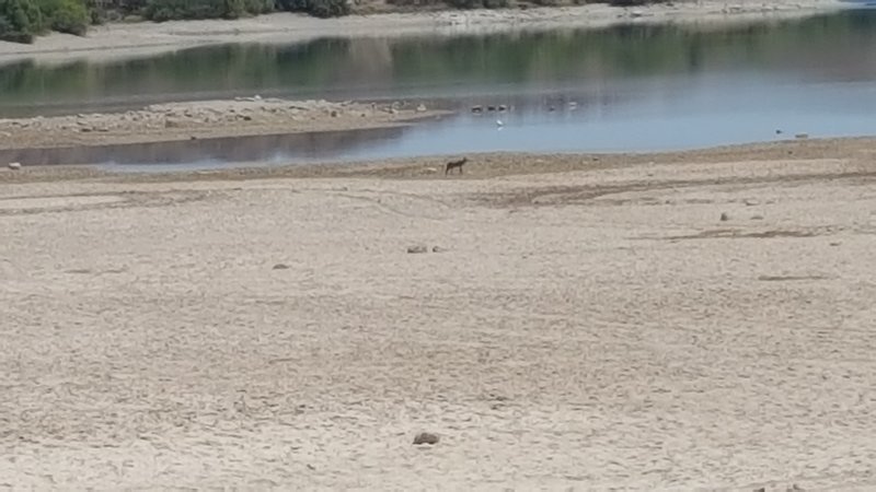 20170614_110013.jpg