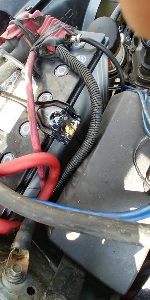 20170614_151734_HDR.jpg