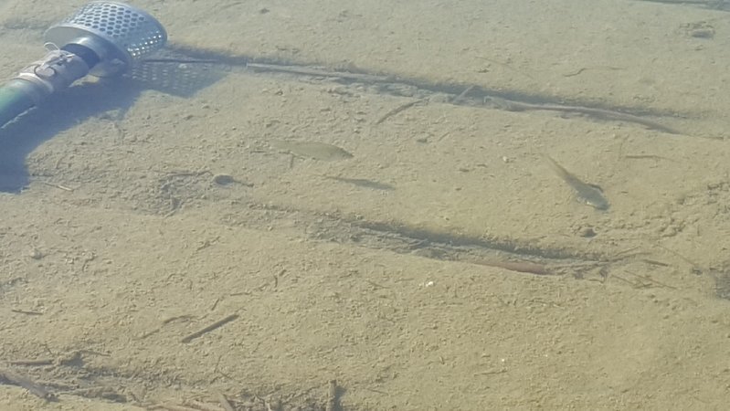 20170614_193357.jpg