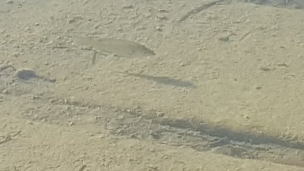 20170614_194758.jpg