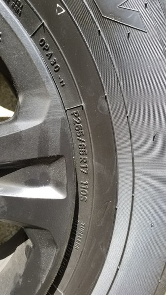 20170616_142506.jpg