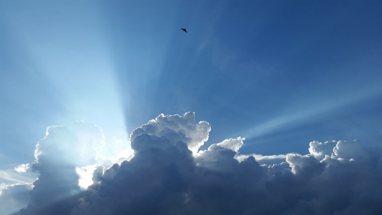 20170616_184625.jpg