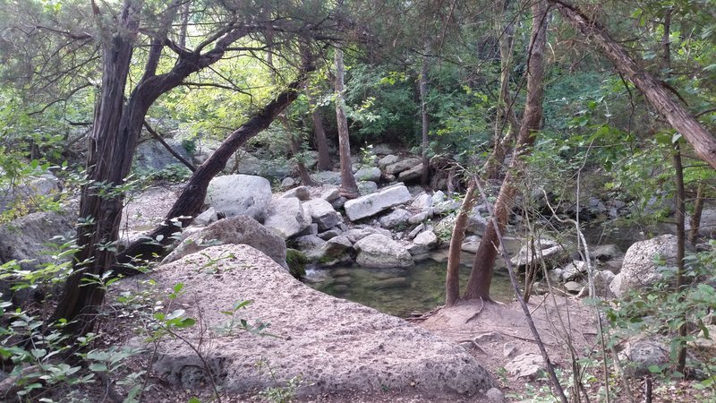 20170617_080321.jpg