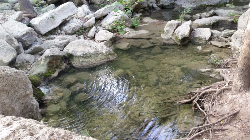 20170617_080350.jpg