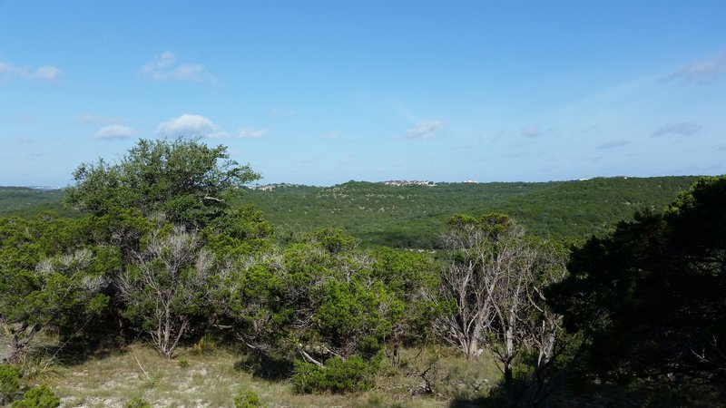 20170617_091902.jpg