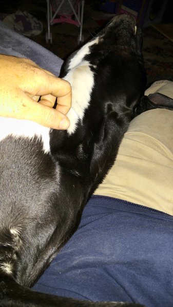 20170617_100407.jpg