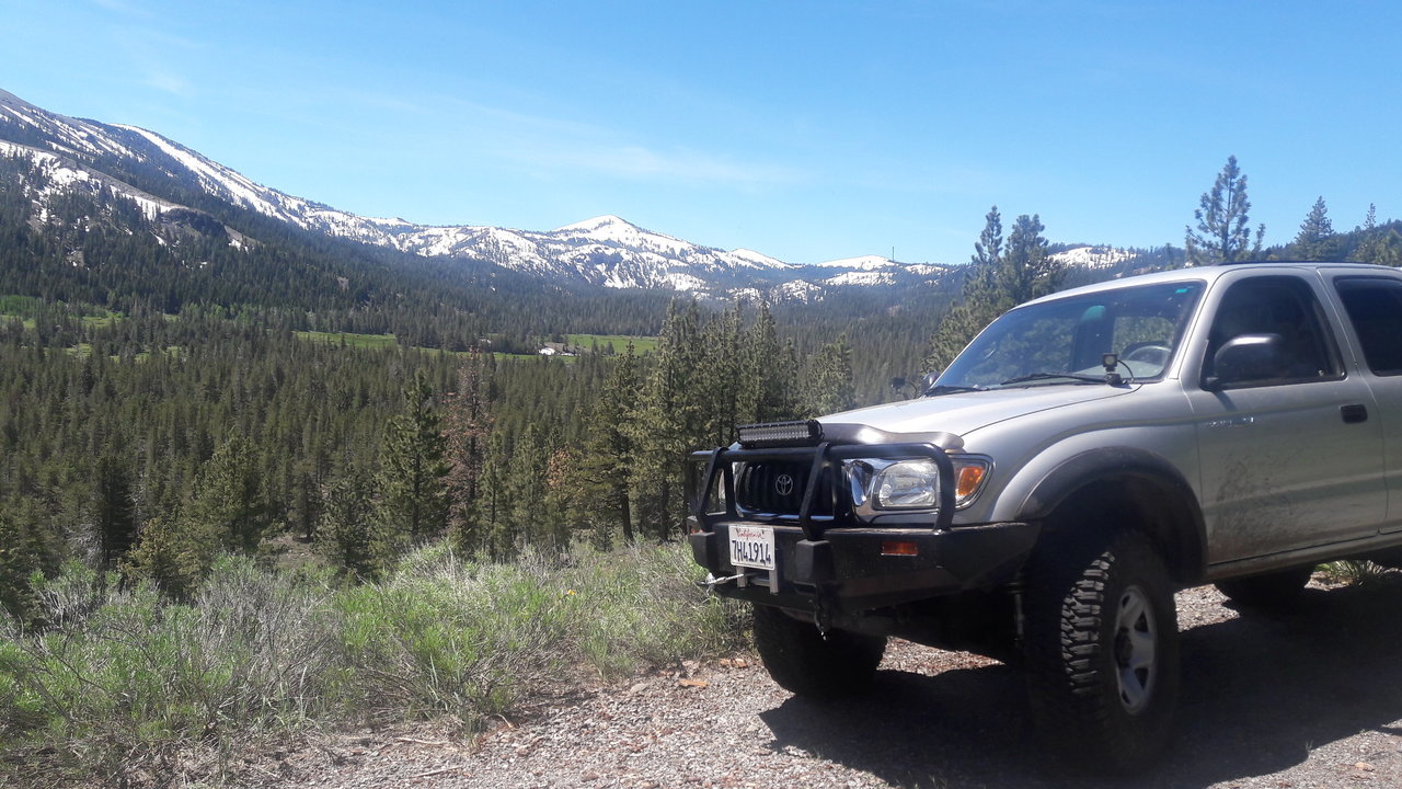 20170617_112459.jpg