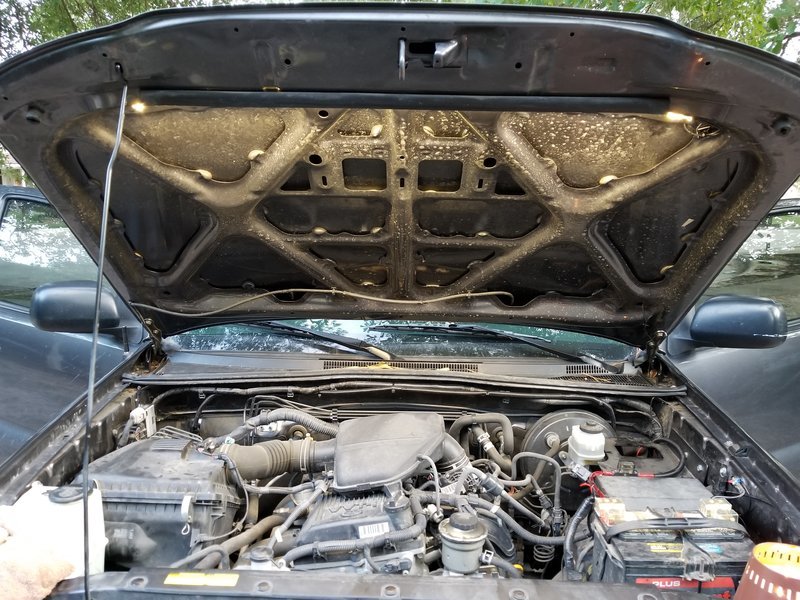 20170617_200641.jpg