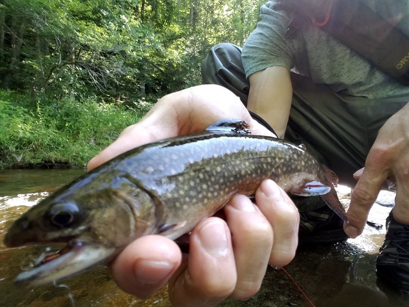 20170618_095414.jpg