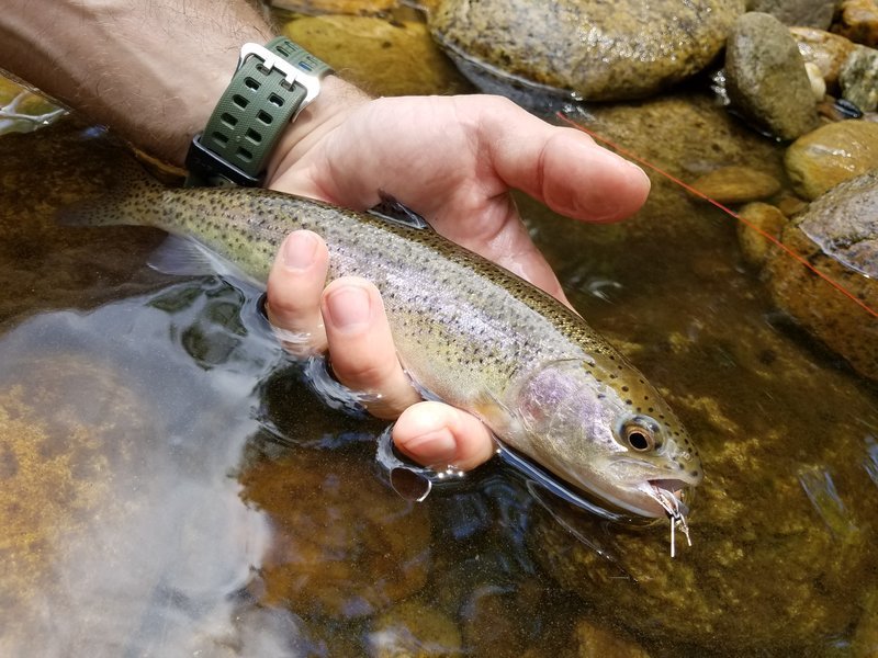 20170618_124928.jpg