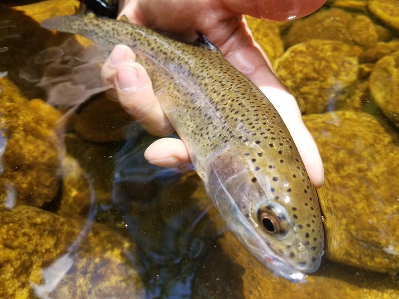 20170618_124943.jpg
