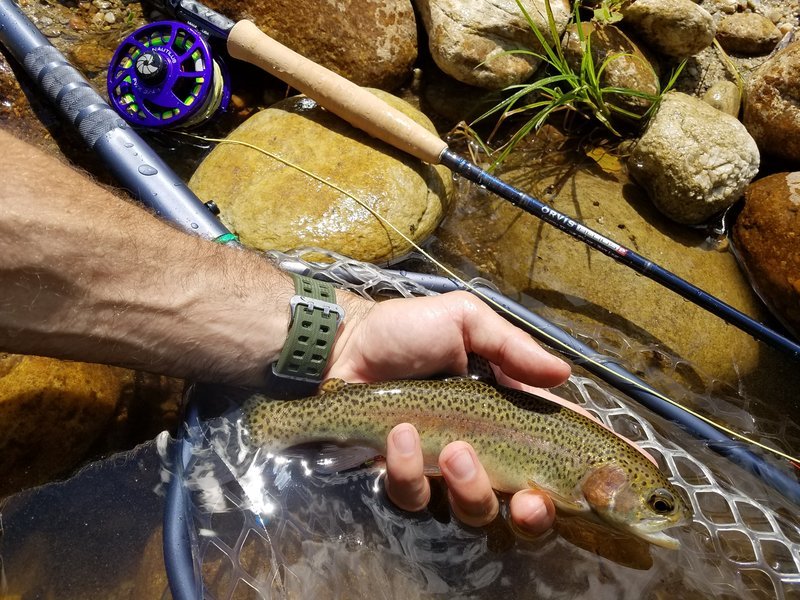 20170618_143923.jpg