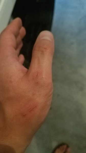 20170618_192039.jpg