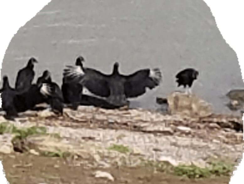 20170623_225619.png