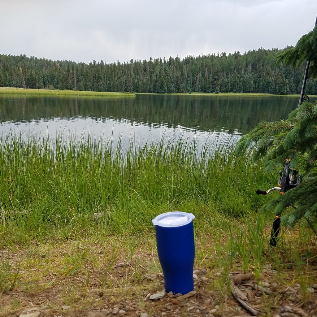 20170624_151236.jpg