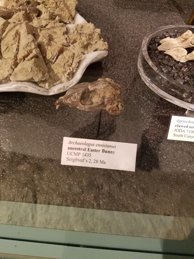 20170624_153838.jpg