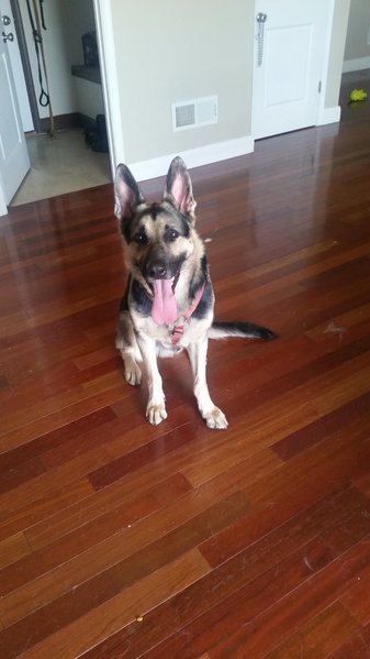 20170624_155054.jpg
