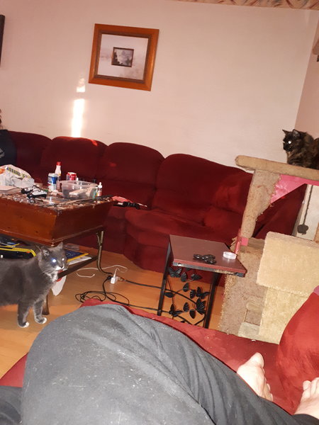 20170624_210018.jpg