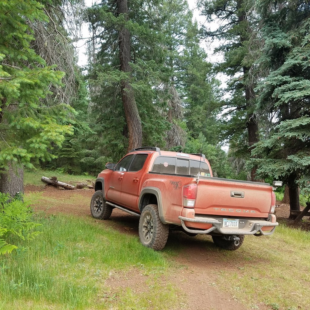 20170625_092337.jpg