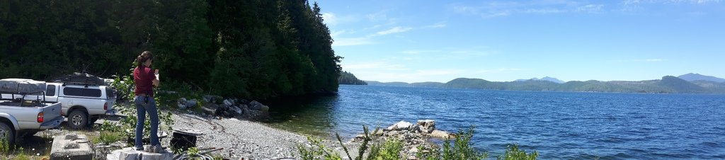 20170625_133255_26dd0bd8025865a0db11b7722fd6044bfc993b53.jpg