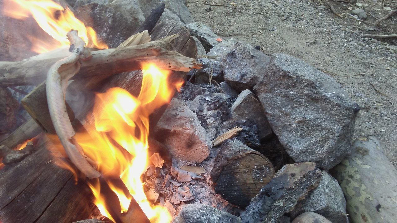20170625_183724.jpg