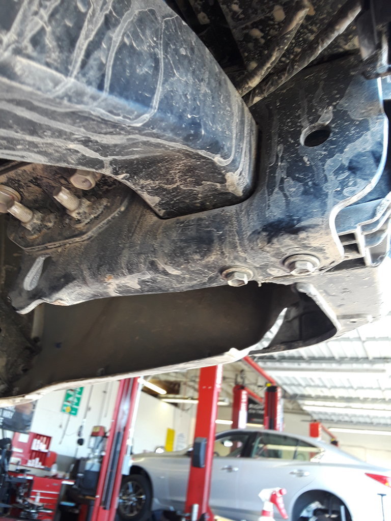 20170626_161751.jpg