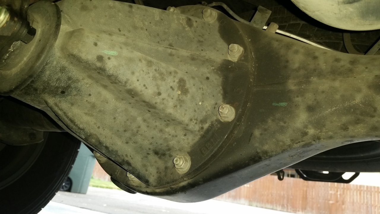 20170627_071447.jpg