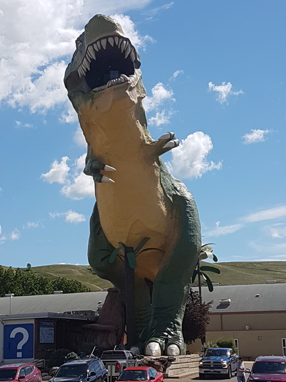 20170628_112355.jpg