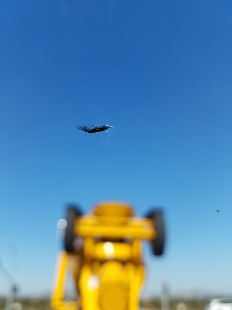 20170629_170053.jpg