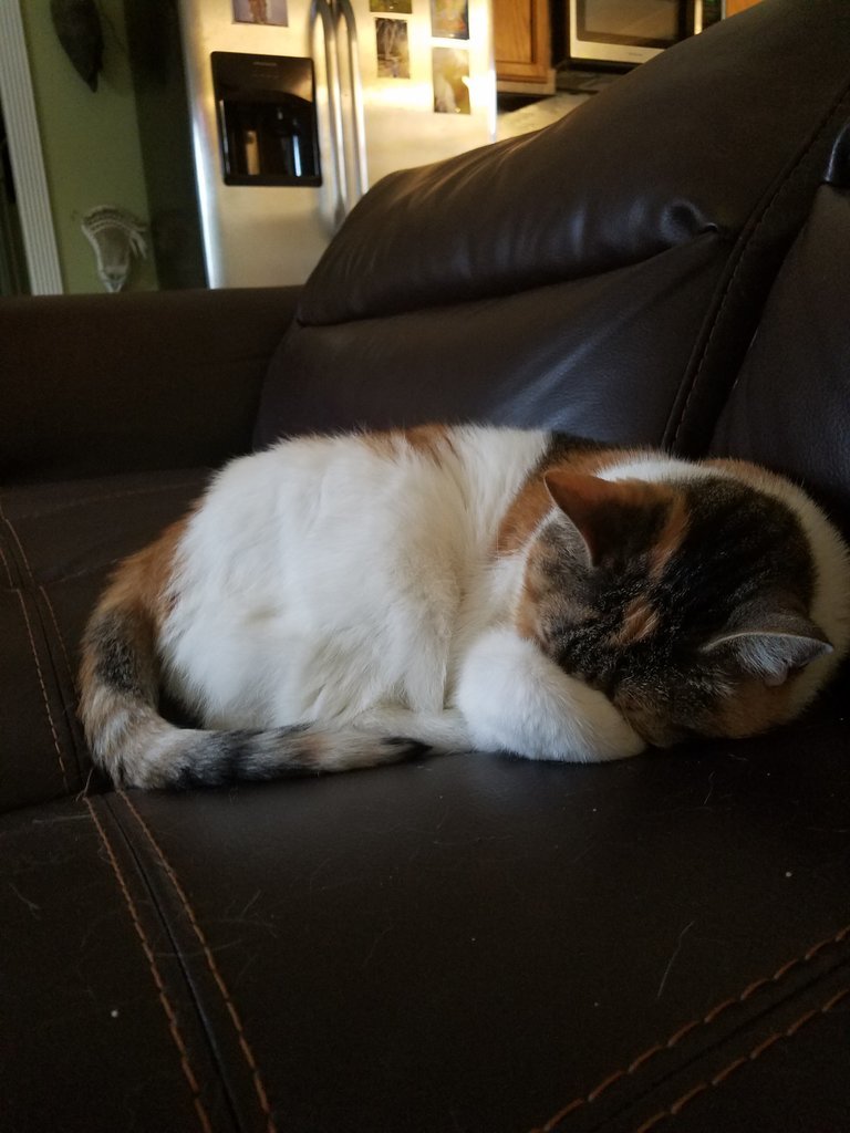 20170629_175625.jpg